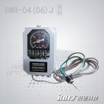 BWR-04J(TH)油变绕组温控器