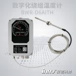 BWR-D6AIYTH 数字化绕组温度计
