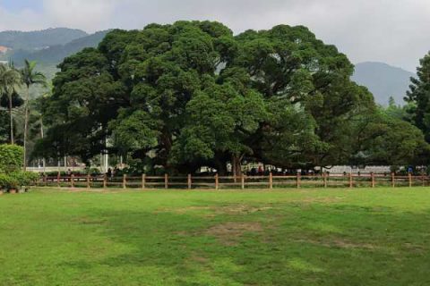 福州英诺科技全体员工于福州国家森林公园开展团建活动